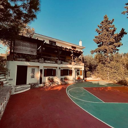 Villa Eleni Sounion Exterior photo